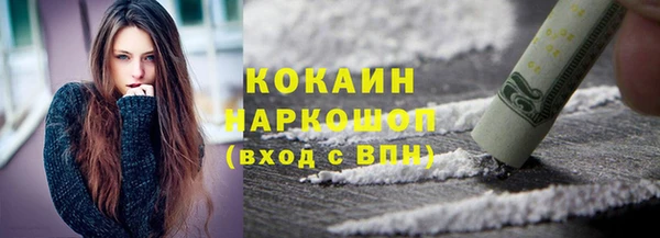 твердый Мегион