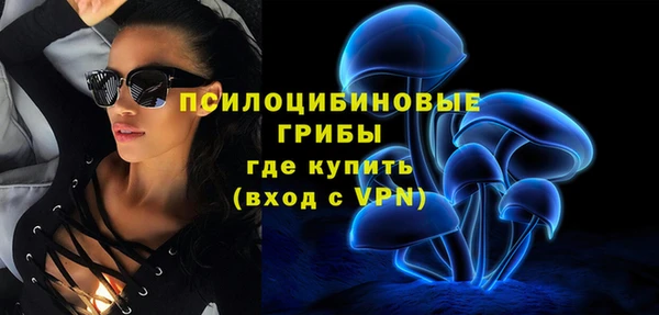 шишки Михайловск