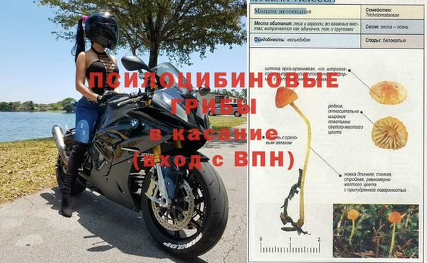 Альфа ПВП Медвежьегорск