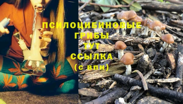 Альфа ПВП Медвежьегорск