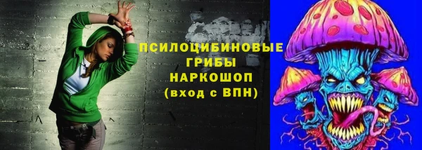 твердый Мегион