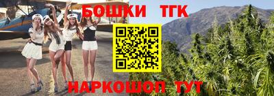 СК Дубна
