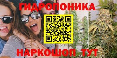 СК Дубна