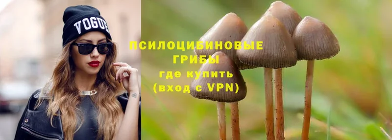 ОМГ ОМГ сайт  Миллерово  Галлюциногенные грибы MAGIC MUSHROOMS 