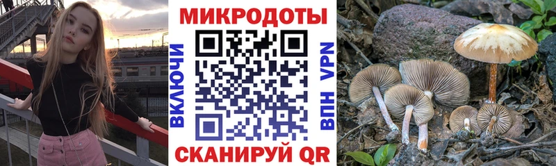 Псилоцибиновые грибы мицелий Миллерово